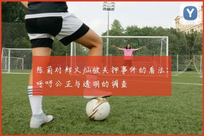 陈菊对郑文灿被关押事件的看法：呼吁公正与透明的调查