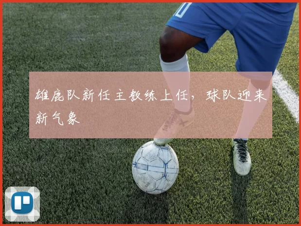 雄鹿队新任主教练上任，球队迎来新气象